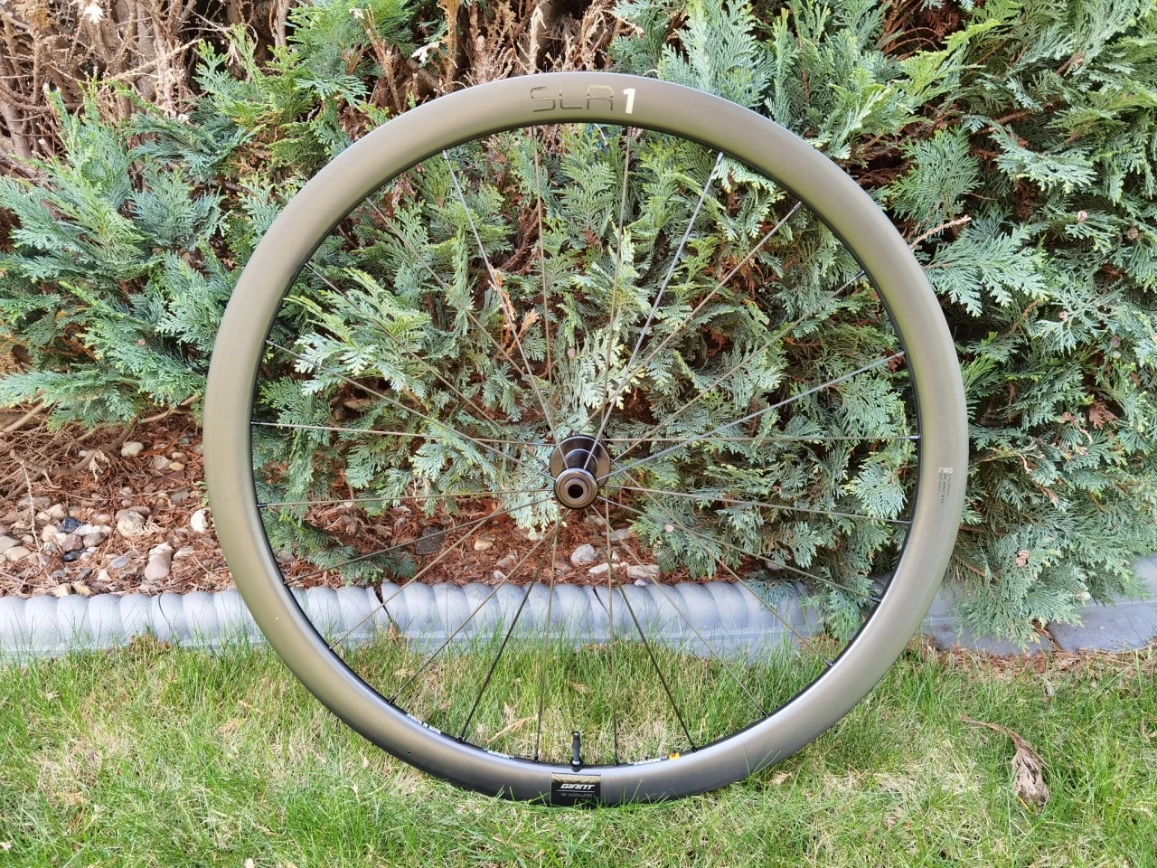 Titelseite -Cannondale slr1 36